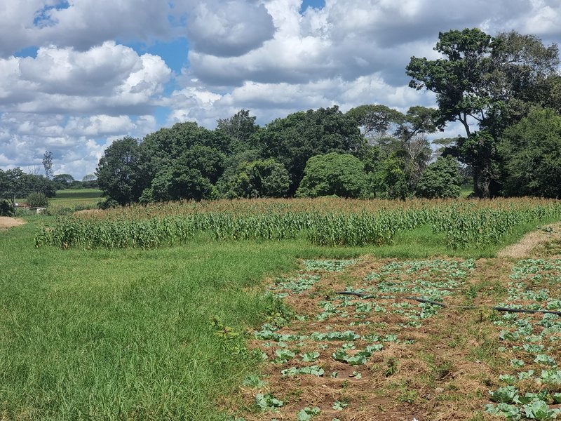 7 acre Traditional land