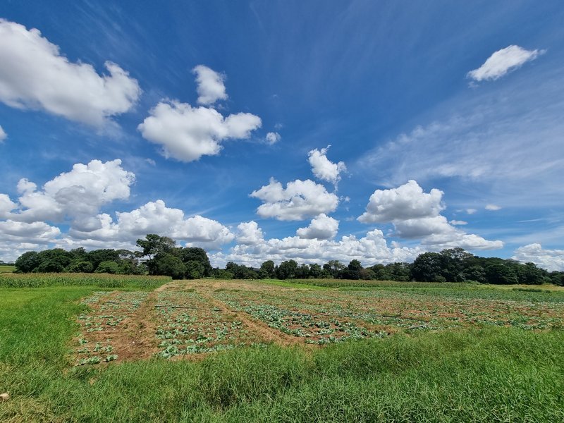 7 acre Traditional land