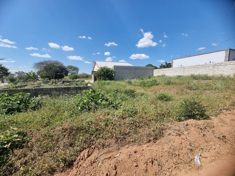 30 by 16 plot, reduced to go