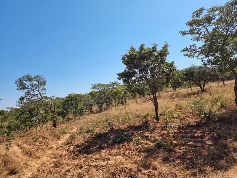5 Acre lot