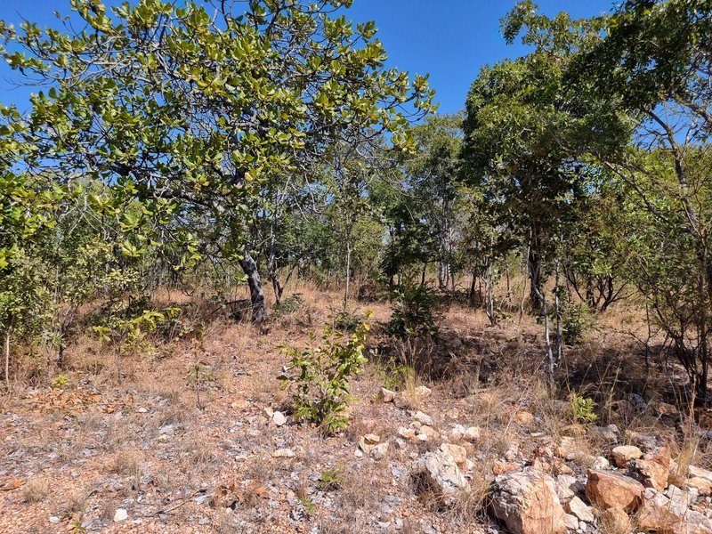 5 Acre lot