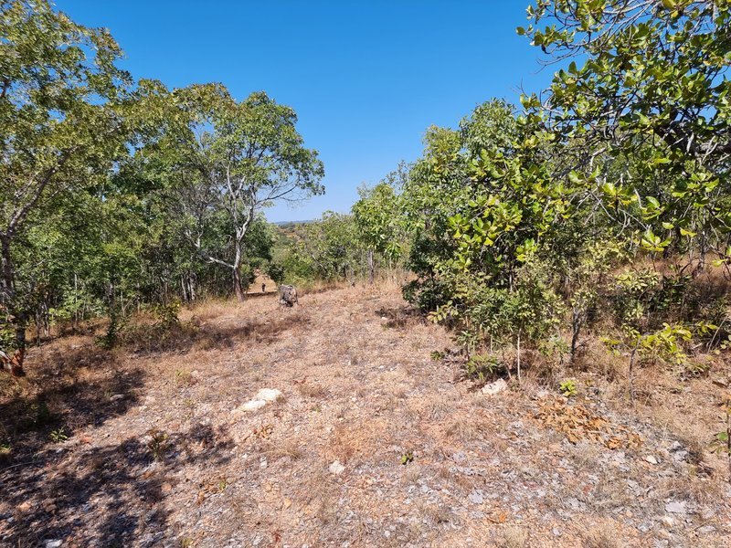 5 Acre lot