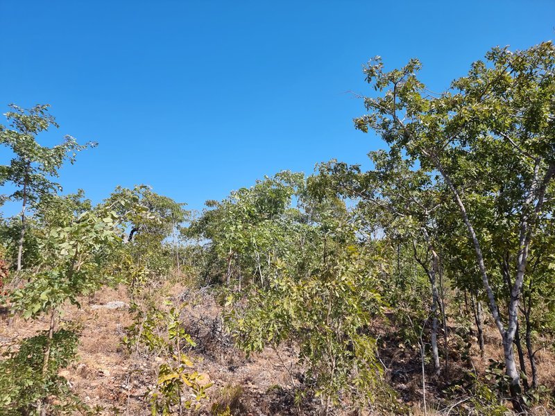 5 Acre lot