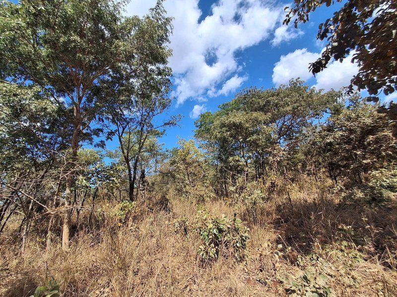 NEW KASAMA|RESIDENTIAL FOR SALE|IDEAL INVESTMENT|1,200SQM|K1M