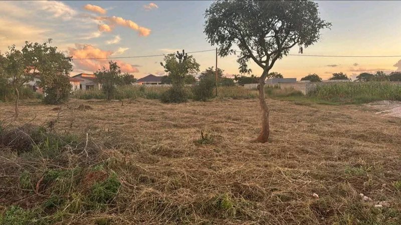 Plots for Sale – New KasamaAvailable residential plots in a prime area of New Kasama