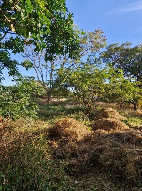 NEW KASAMA|PLOT FOR SALE|2,500SQM (50 BY 50)|PRICE|K2M