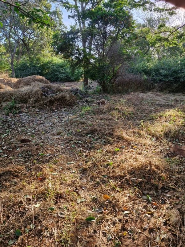 NEW KASAMA|PLOT FOR SALE|2,500SQM (50 BY 50)|PRICE|K2M