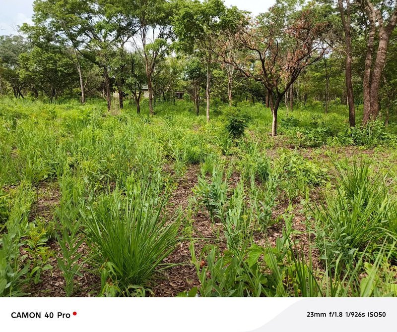 LEOPARDS HILL|OFF CHIFWEMA|TWO (2) ACRES LAND FOR SALE|PER ACRE K1.5M