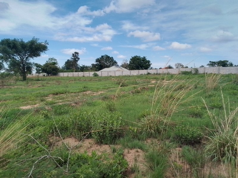 Silverest plot for sale
