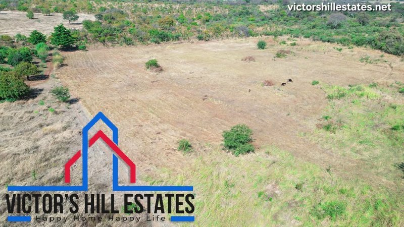 🚜 65 ACRE COMMERCIAL FARM FOR SALE 17KM OFF TAR MAKENI ROAD(NEAR SDA KAMULANGA CAMPSITE)