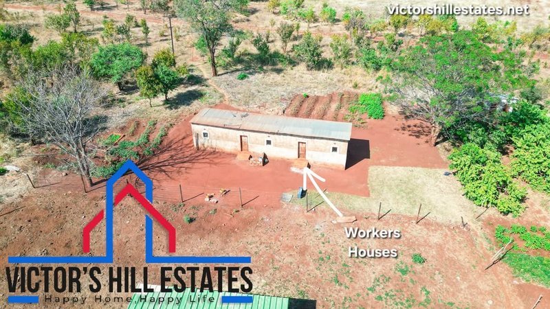 🚜 65 ACRE COMMERCIAL FARM FOR SALE 17KM OFF TAR MAKENI ROAD(NEAR SDA KAMULANGA CAMPSITE)