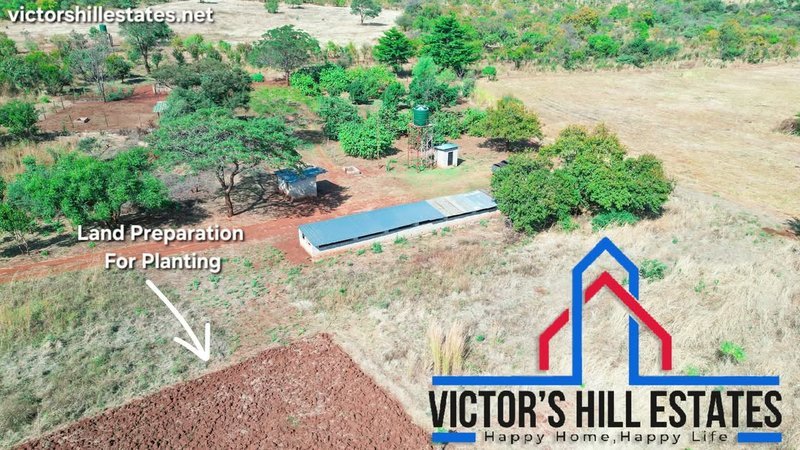 🚜 65 ACRE COMMERCIAL FARM FOR SALE 17KM OFF TAR MAKENI ROAD(NEAR SDA KAMULANGA CAMPSITE)