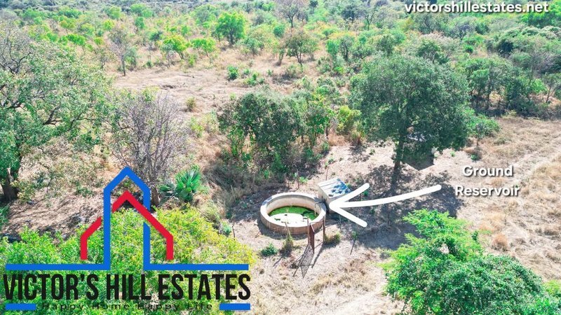 🚜 65 ACRE COMMERCIAL FARM FOR SALE 17KM OFF TAR MAKENI ROAD(NEAR SDA KAMULANGA CAMPSITE)