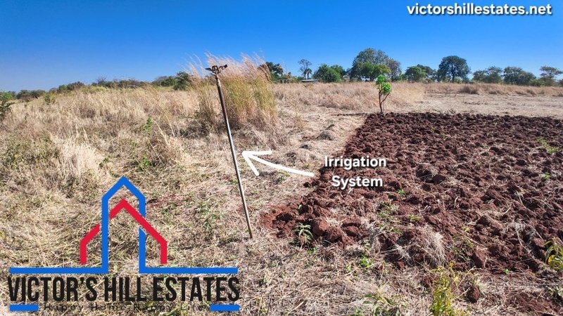🚜 65 ACRE COMMERCIAL FARM FOR SALE 17KM OFF TAR MAKENI ROAD(NEAR SDA KAMULANGA CAMPSITE)
