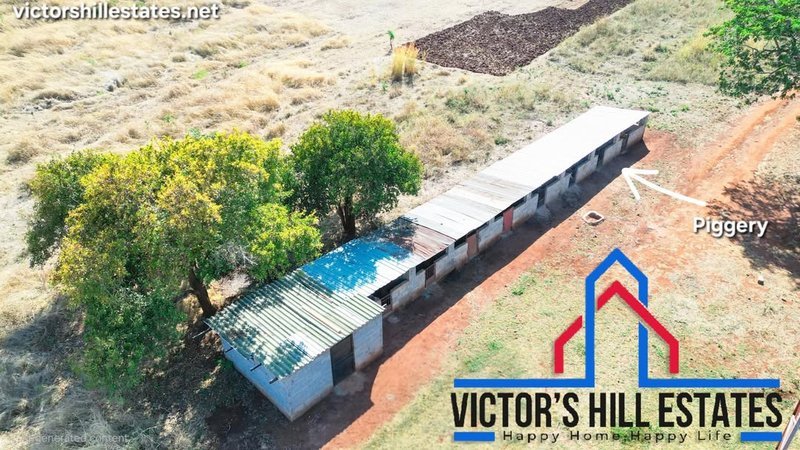 🚜 65 ACRE COMMERCIAL FARM FOR SALE 17KM OFF TAR MAKENI ROAD(NEAR SDA KAMULANGA CAMPSITE)