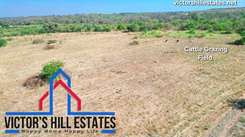 🚜 65 ACRE COMMERCIAL FARM FOR SALE 17KM OFF TAR MAKENI ROAD(NEAR SDA KAMULANGA CAMPSITE)