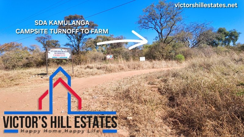 🚜 65 ACRE COMMERCIAL FARM FOR SALE 17KM OFF TAR MAKENI ROAD(NEAR SDA KAMULANGA CAMPSITE)