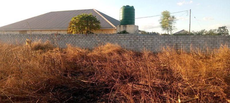 MEANWOOD NDEKE PHASE 1