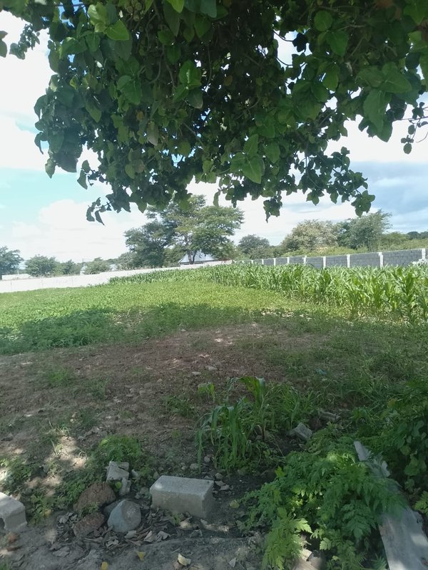 ROADFRONTAGE PROPERTY IN CHONGWE