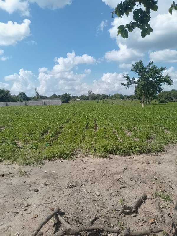 ROADFRONTAGE PROPERTY IN CHONGWE