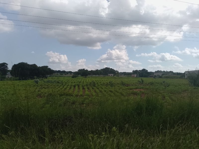 ROADFRONTAGE PROPERTY IN CHONGWE
