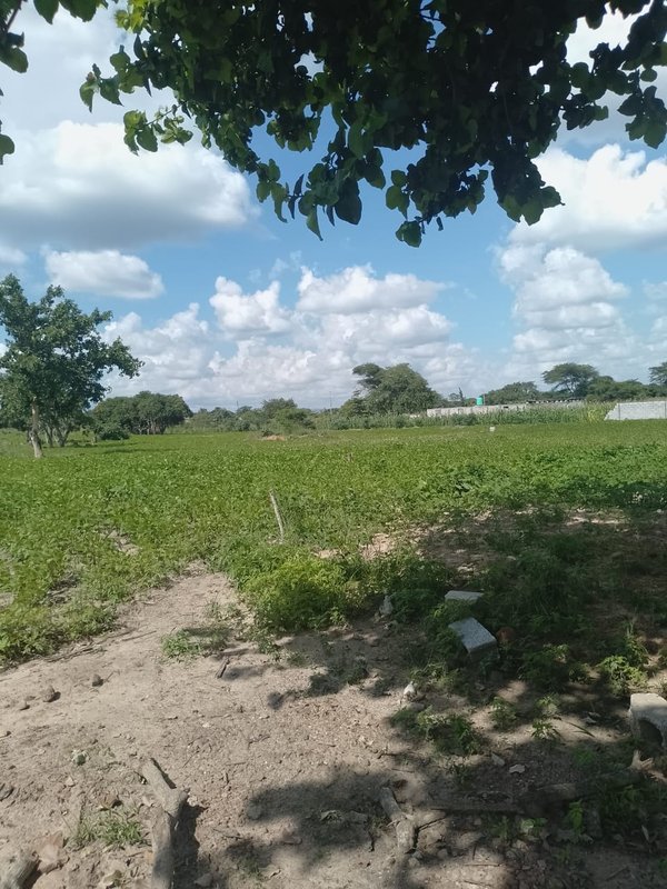 ROADFRONTAGE PROPERTY IN CHONGWE