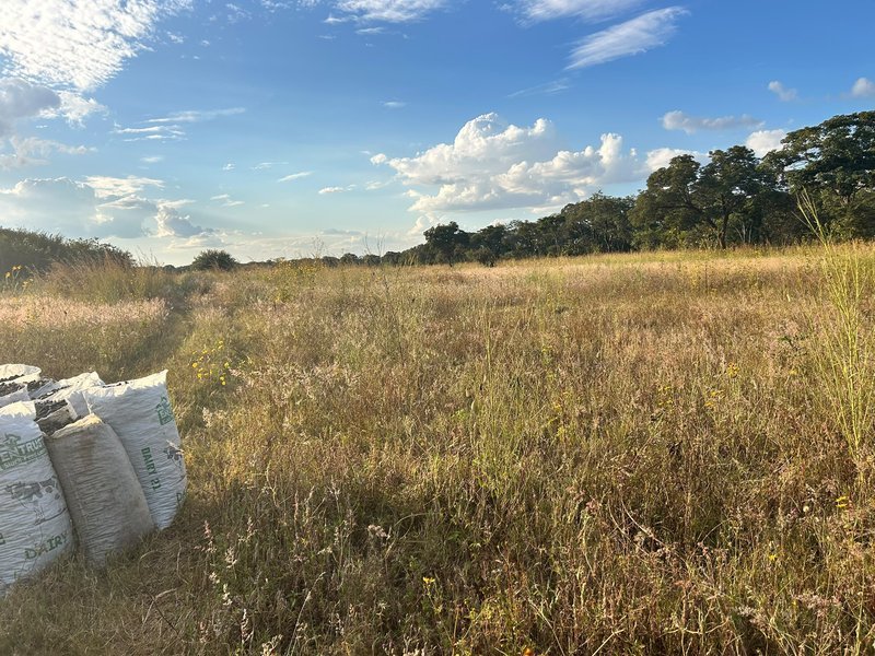 100Ha farm land