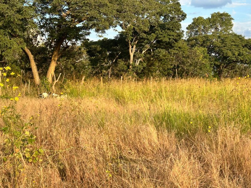100Ha farm land