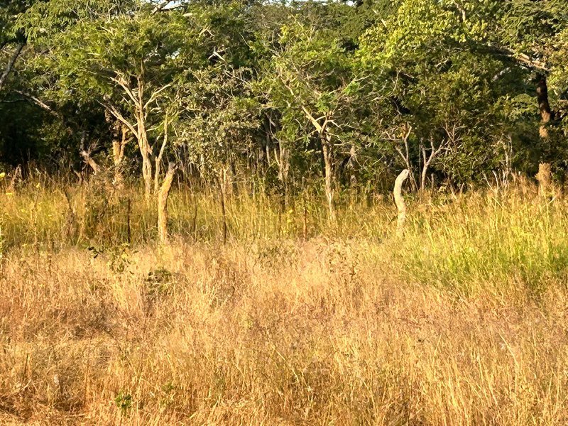 100Ha farm land
