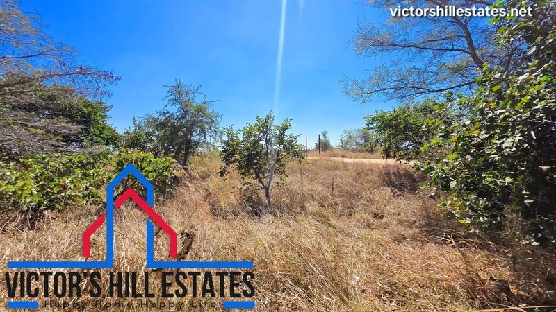 🚜 20 ACRE SUB DIVISION FARM FOR SALE IN MWEMBESHI 5.6KM FROM MUMBWA RD (PRISON AREA)