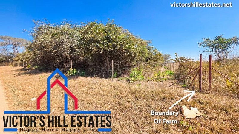 🚜 20 ACRE SUB DIVISION FARM FOR SALE IN MWEMBESHI 5.6KM FROM MUMBWA RD (PRISON AREA)