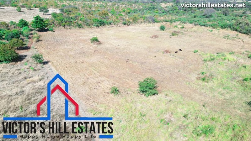 🚜 20 ACRE SUB DIVISION FARM FOR SALE IN MWEMBESHI 5.6KM FROM MUMBWA RD (PRISON AREA)