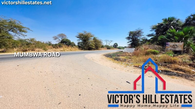 🚜 20 ACRE SUB DIVISION FARM FOR SALE IN MWEMBESHI 5.6KM FROM MUMBWA RD (PRISON AREA)