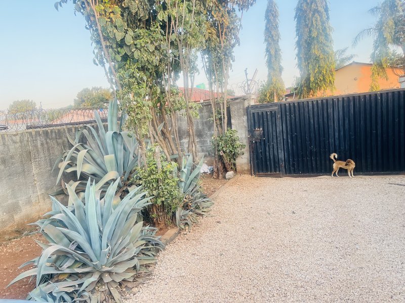 Modern 2-Bedroom Flat with Large Front & Backyard