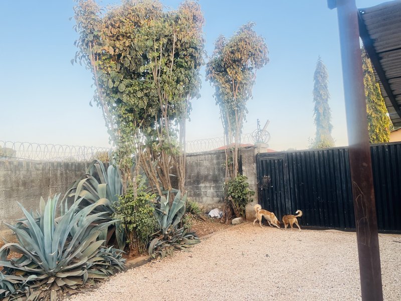 Modern 2-Bedroom Flat with Large Front & Backyard