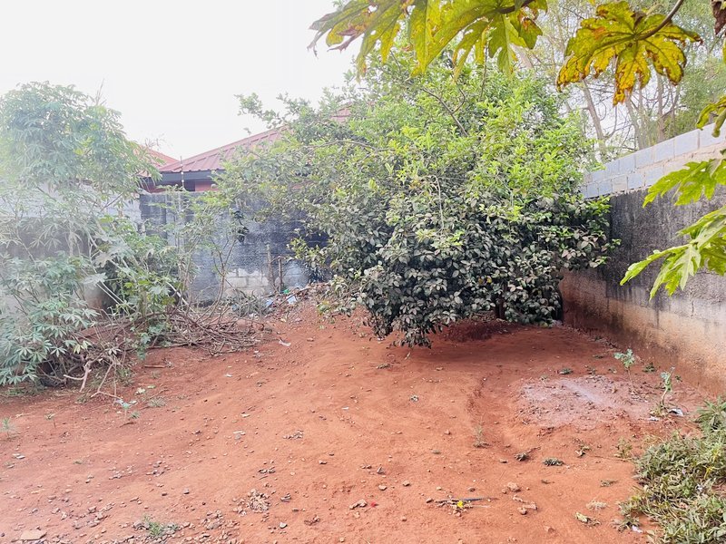 Modern 2-Bedroom Flat with Large Front & Backyard