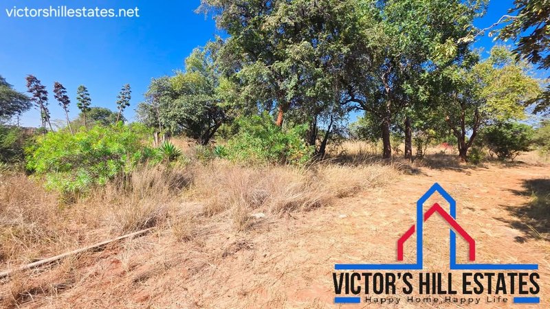 📍 1 ACRE TAR FRONT FOR SALE IN MEANWOOD IBEX OFF ZAMBEZI DRIVE
