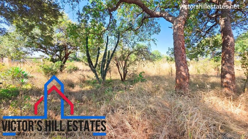 📍 1 ACRE TAR FRONT FOR SALE IN MEANWOOD IBEX OFF ZAMBEZI DRIVE