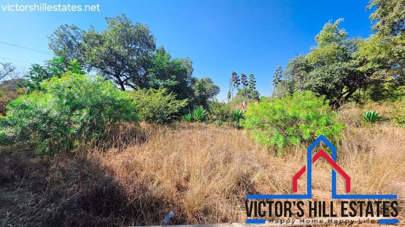 📍 1 ACRE TAR FRONT FOR SALE IN MEANWOOD IBEX OFF ZAMBEZI DRIVE
