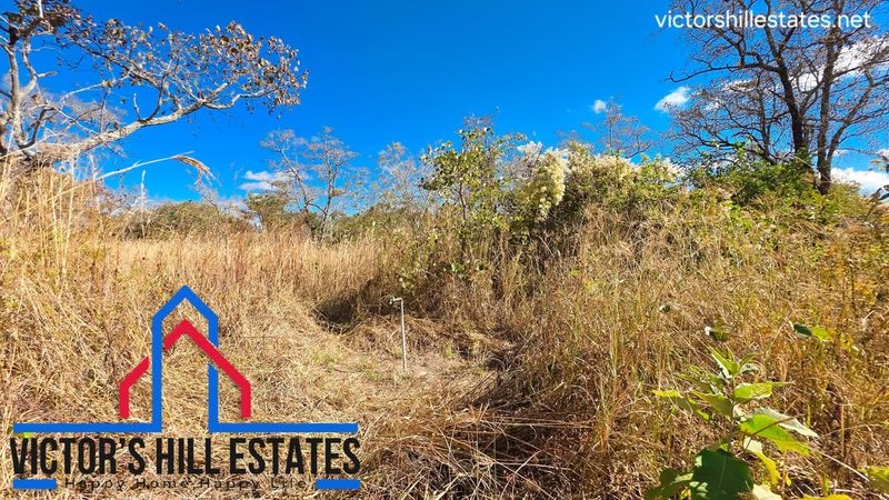 📍 2.5 ACRE LOT FOR SALE IN MUKAMUNYA (MONKEY POOLS/ GLYNVIEW) NEW KASAMA