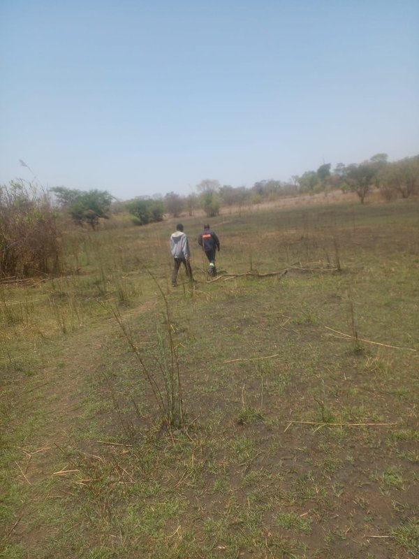 TITLED LAND FOR SALE | KAPIRI MPOSHI ENTRANCE