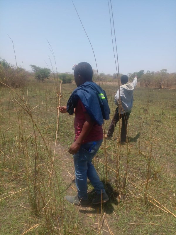 TITLED LAND FOR SALE | KAPIRI MPOSHI ENTRANCE