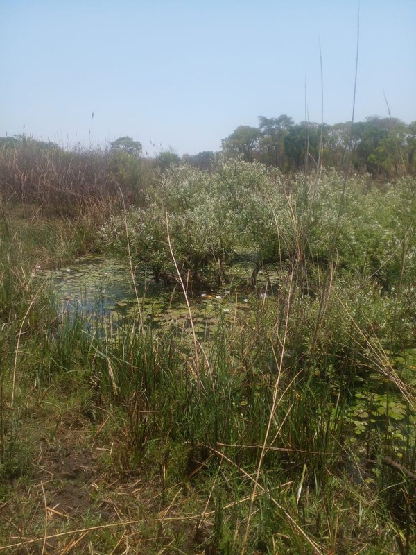 TITLED LAND FOR SALE | KAPIRI MPOSHI ENTRANCE