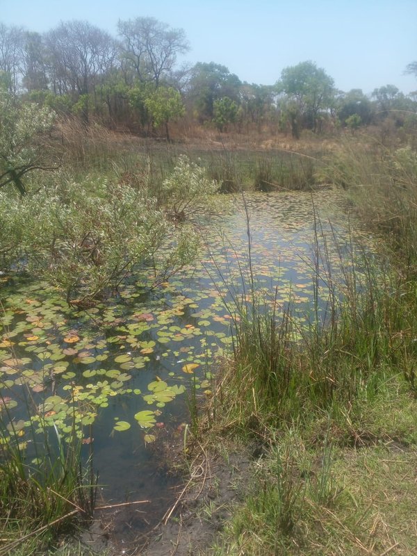 TITLED LAND FOR SALE | KAPIRI MPOSHI ENTRANCE