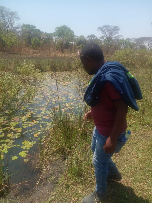 TITLED LAND FOR SALE | KAPIRI MPOSHI ENTRANCE