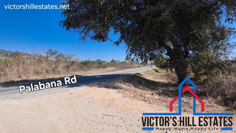 📍 30m by 40m RESIDENTIAL PLOTS FOR SALE 3KM FROM TAR IN PALABANA