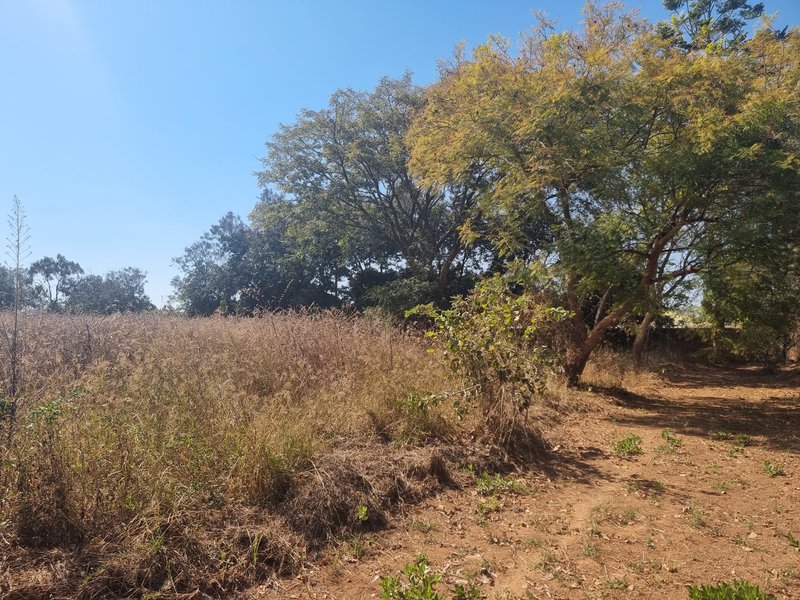 30 by 40 plot for sale