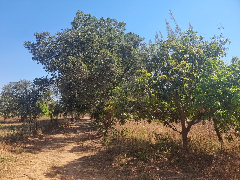 30 by 40 plot for sale