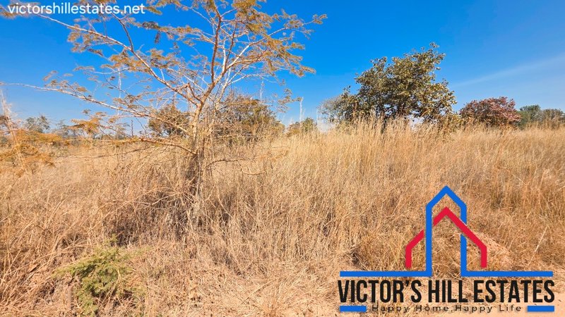 📍 1.24 ACRE PLOT FOR SALE – ROAN PARK NGWERERE RD