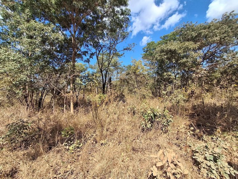 NEW KASAMA|RESIDENTIAL FOR SALE|IDEAL INVESTMENT|1,200SQM|K950,000